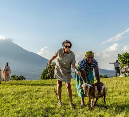 Virunga-Lodge---one-sheep-per-family-project