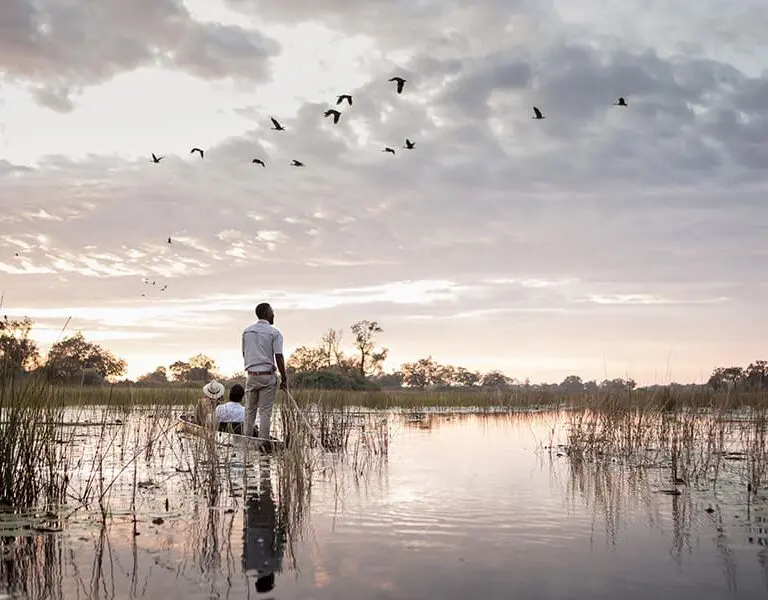 Enjoy a tranquil mokoro safari. 