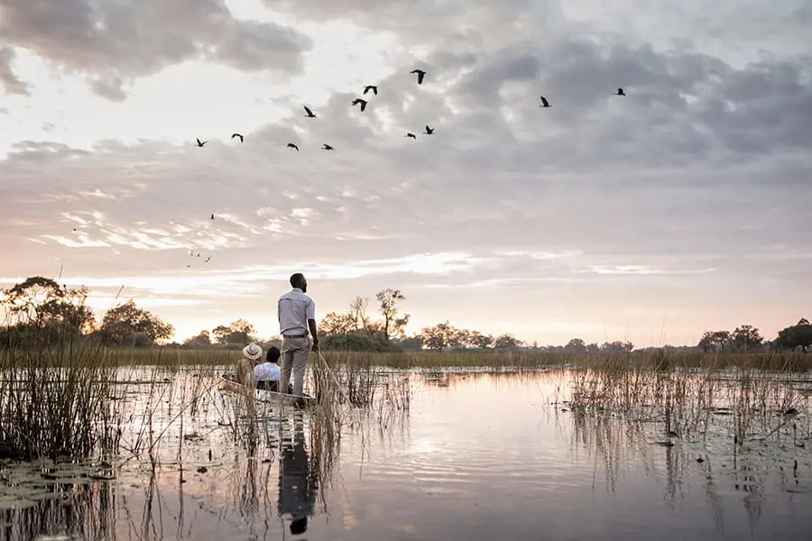 Enjoy a tranquil mokoro safari. 