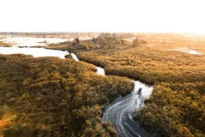 Meandering water channels in the Delta allow for boat-based game viewing. 