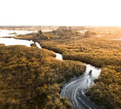 Los canales serpenteantes del Delta permiten avistar animales en barco. 