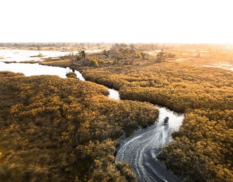 Meandering water channels in the Delta allow for boat-based game viewing. 
