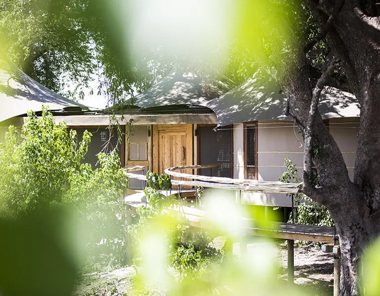 wilderness-mombo-camp-suite-external