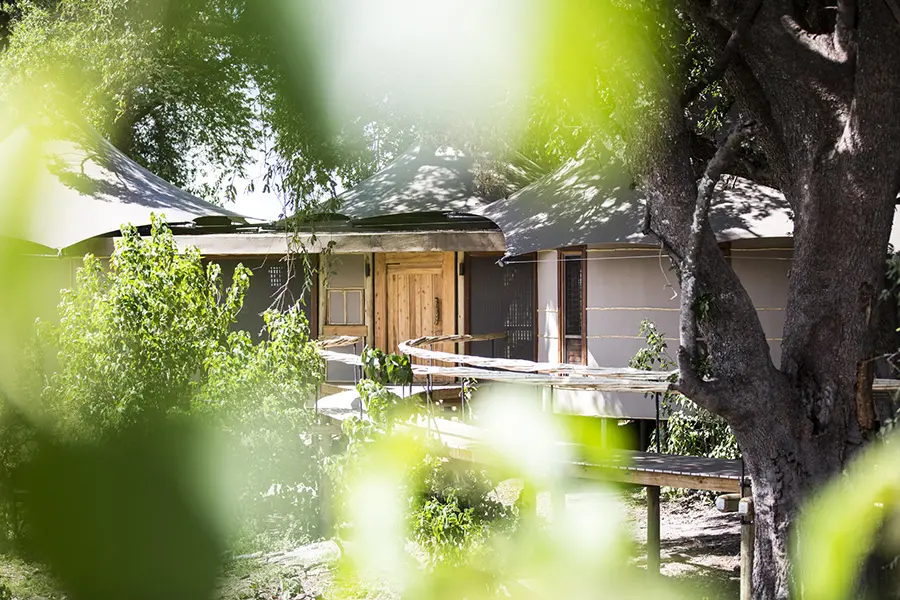 wilderness-mombo-camp-suite-external