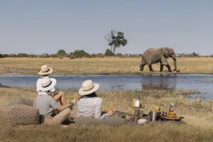 La mejor experiencia de safari: un picnic en la sabana.