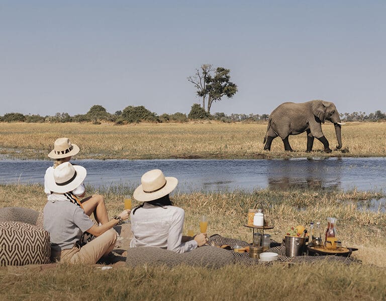 A top safari experience - a bush picnic.