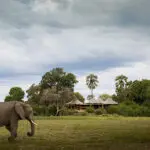 Wilderness Mombo Camp, Moremi Game Reserve, Okavango Delta.
