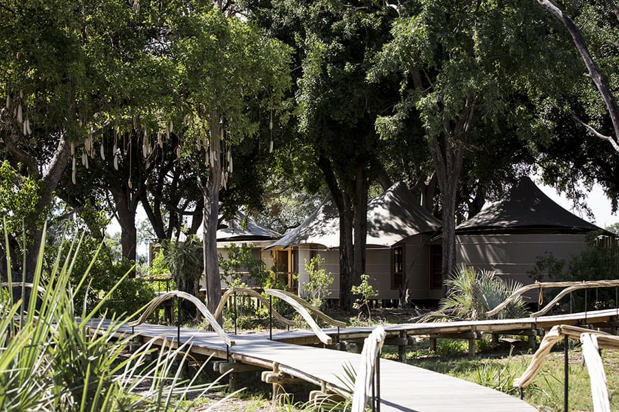 wilderness-mombo-camp-family-accomm-external