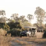 Recorridos de caza.