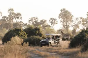 Recorridos de caza.