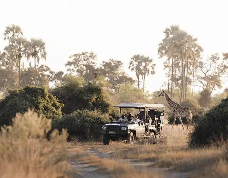 Game drives.