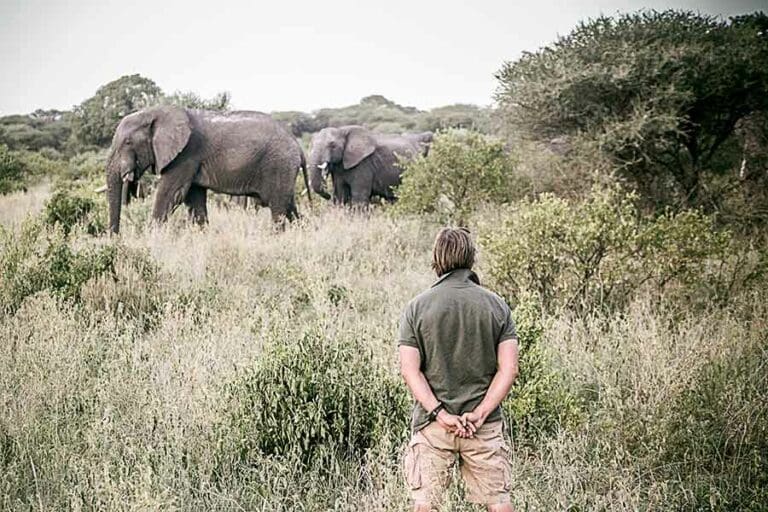 Se ofrecen safaris a pie.