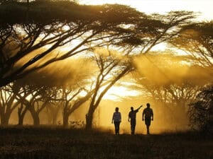 Disfrutar de un paseo privado por la tarde con un guía profesional suele ser uno de los momentos culminantes del safari.