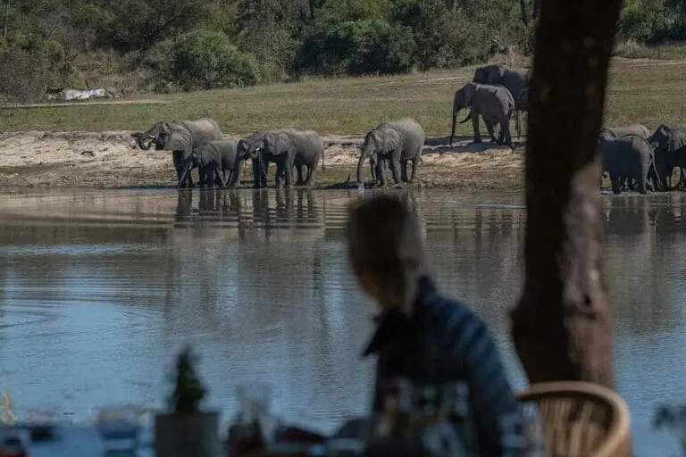Waterhole elephant sighting at Arathusa Safari Lodge.