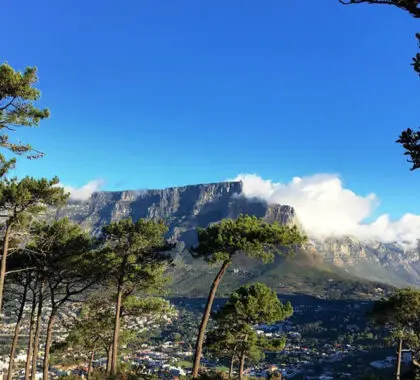 Vista de la Montaña de la Mesa.