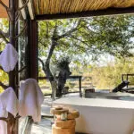 ¿Qué puede ser más lujoso que observar animales o aves desde la comodidad de su bañera privada?