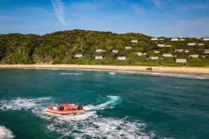 Safaris oceánicos.