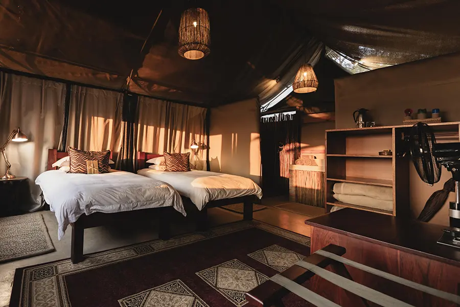 wildernes-davidsons-camp-hwange-zimbabwe-family-tent-twin-beds