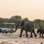 Open-sided game viewers for daily game drives.