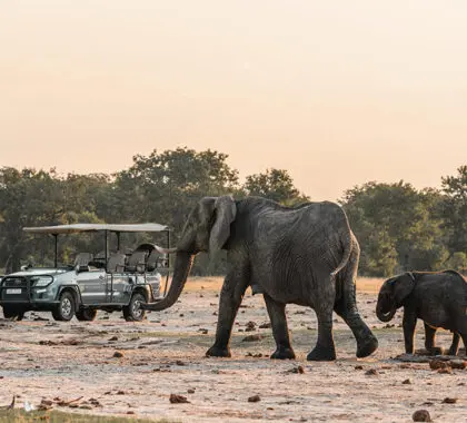 Open-sided game viewers for daily game drives.