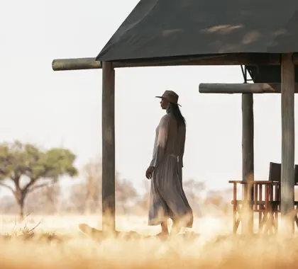 Each tent has a veranda facing a waterhole popular with elephant.