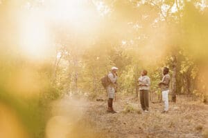 Walking safaris allow for insight into the habitat and wildlife that game drives can't always provide. 