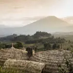 Bisate Lodge is tucked away along a ridge surrounded by Volcanoes National Park.