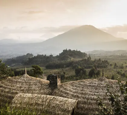El Bisate Lodge está enclavado en una cresta rodeada por el Parque Nacional de los Volcanes.