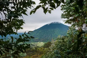 Explore las profundidades de la naturaleza virgen de Ruanda en esta épica excursión | Wilderness Bisate