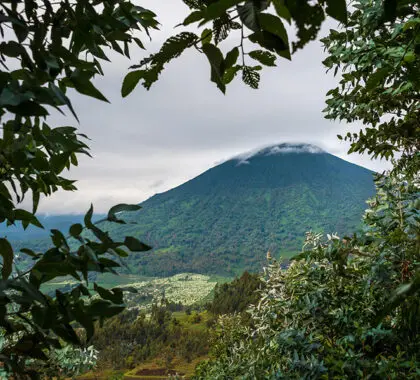 Explore las profundidades de la naturaleza virgen de Ruanda en esta épica excursión | Wilderness Bisate