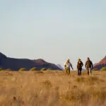 Wilderness walks through Damaraland | Damaraland Camp