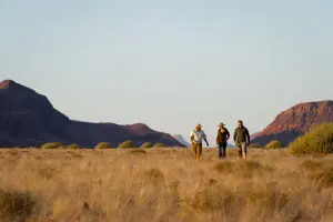 Wilderness walks through Damaraland | Damaraland Camp