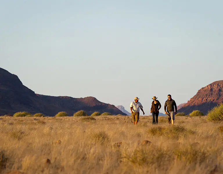 Wilderness walks through Damaraland | Damaraland Camp