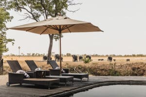 Game drives don't tend to happen in the hottest times of the day, this is the perfect time to spend relaxing at the swimming pool. 