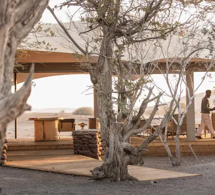 Main camp area.