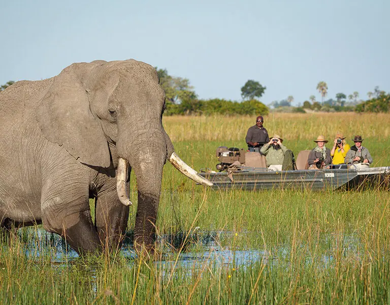 Enjoy water-based safaris.