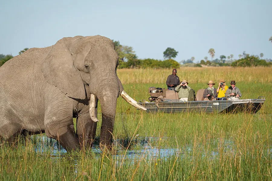Disfrute de safaris acuáticos.
