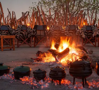Veladas en el boma.
