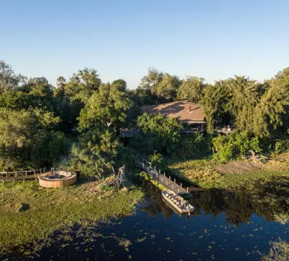 Situado en un canal permanente del delta del Okavango.