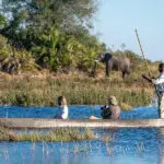 A mekoro safari is the most serene way to experience the Delta.