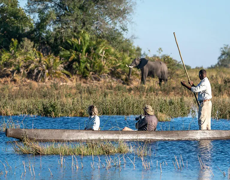 A mekoro safari is the most serene way to experience the Delta.