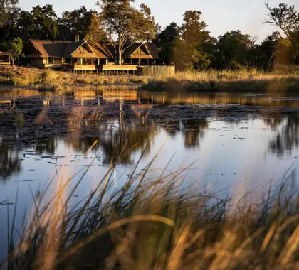 King's Pool, situado en King's Pool Lagoon, un canal permanente de la reserva de Linyanti, en el delta del Okavango.