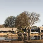 Wake up to the sight of wildlife within arms reach at Linkwasha Camp.