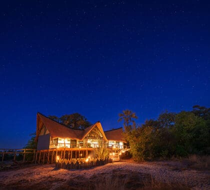 Las noches en el delta del Okavango anuncian un manto de estrellas que ilumina el paisaje.