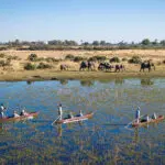 Experimente un safari en mokoro.