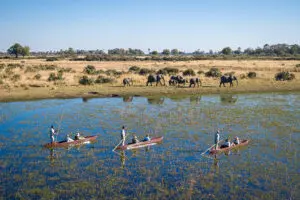 Experimente un safari en mokoro.