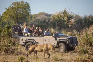 Recorridos de caza en una concesión privada | Wilderness Little Tubu