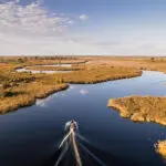 Los safaris en barco le llevan a lugares que los vehículos no pueden. 