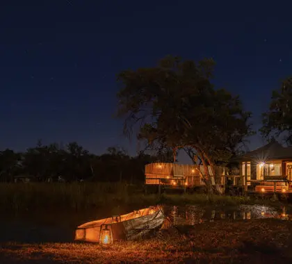 En el delta del Okavango, estará rodeado de auténtica naturaleza salvaje.