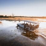 Los safaris le llevarán por los diferentes terrenos del Delta.